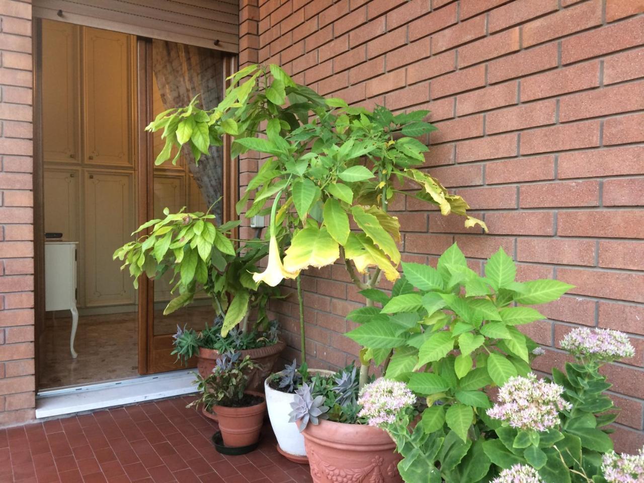 فيرونا B&B Pergolesi المظهر الخارجي الصورة
